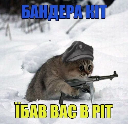 nsKzLIYDjbI.webp