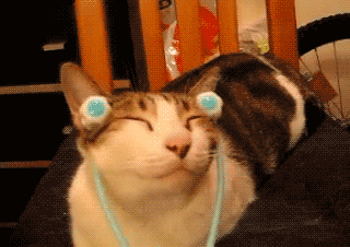 ntique_com_wp_content_uploads_2011_06_kotogifka_03.gif
