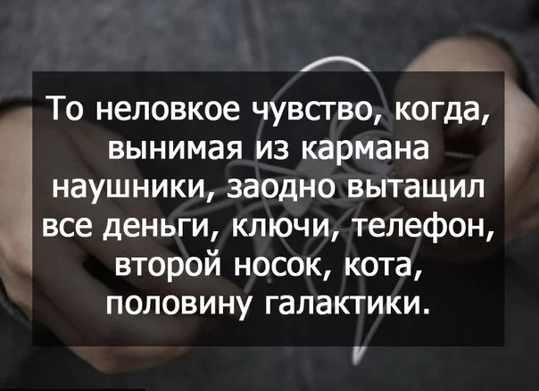 NvLWHw8P0_Y.webp