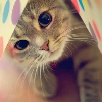 nw-J1oYRqxc.webp