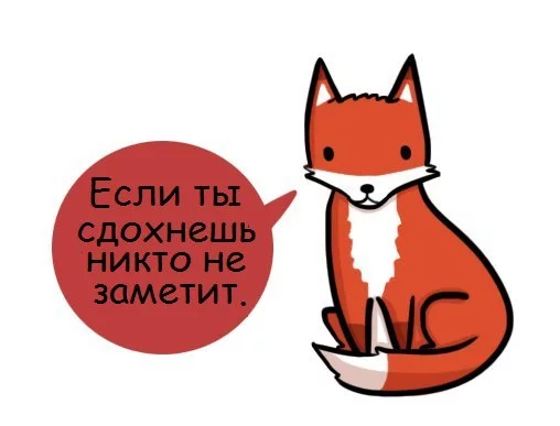 NXRGr1KebbQ.webp