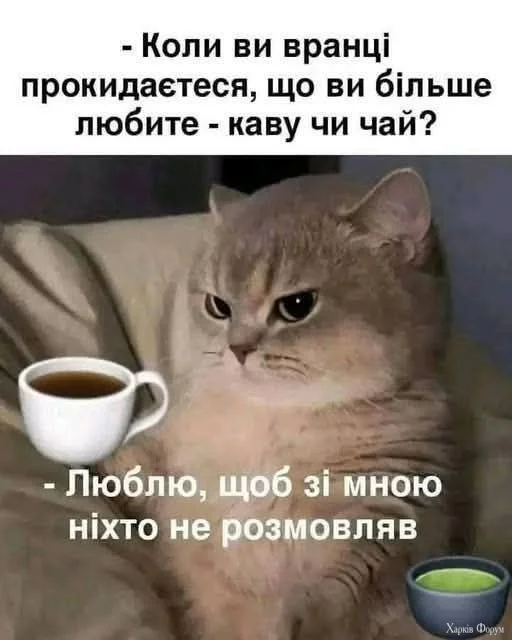 nXz0OiLZGwmrOoQ&_nc_zt=23&_nc_ht=scontent.fiev25-1.webp