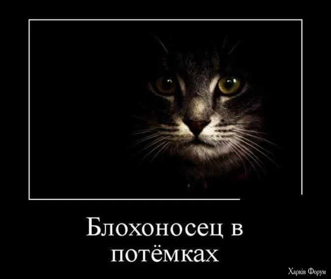  о.webp