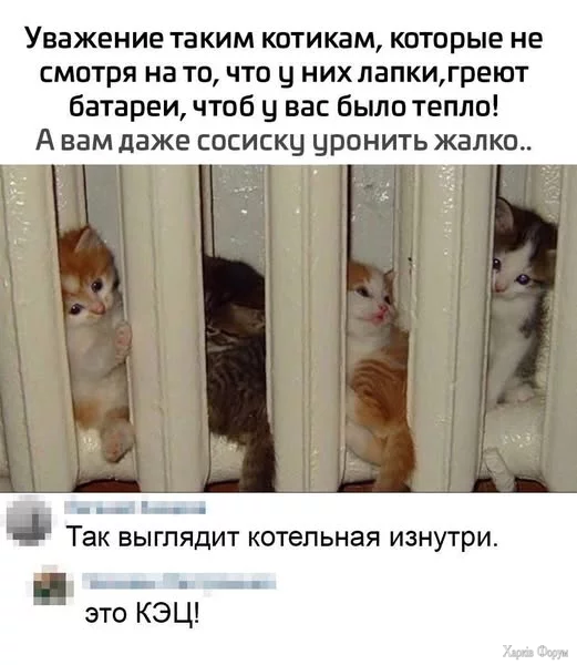 o146ghka8p219EI&_nc_zt=23&_nc_ht=scontent.fiev28-1.webp