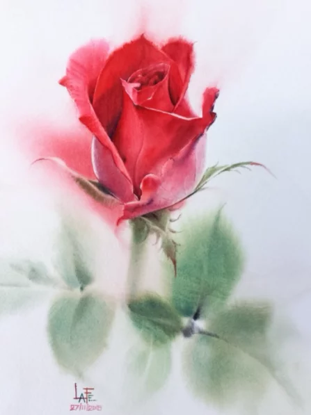 o88rVO9M_o.webp