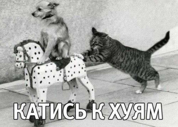 oa_Xv_AjIf8.jpg
