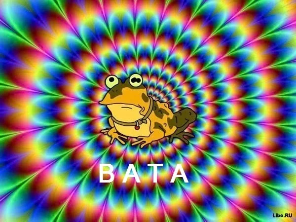 oAf0lI4m898.webp