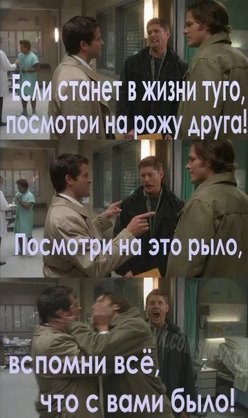 oBiyhO9Uh8k.webp