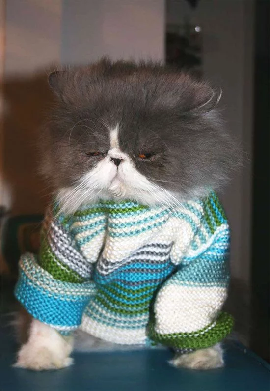 obnimemsya026.webp