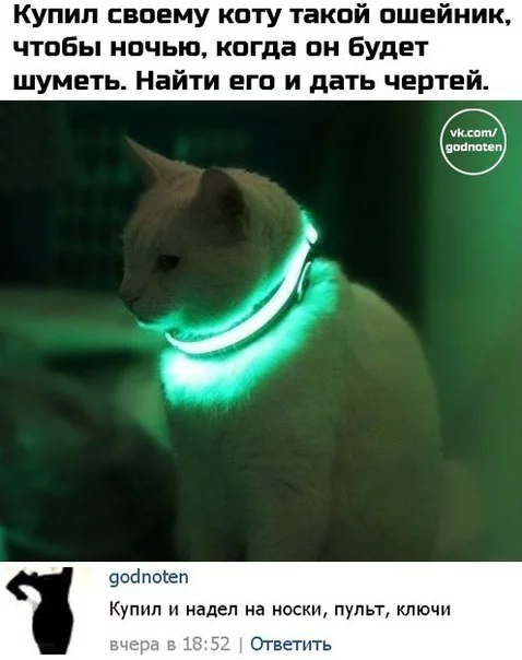 OC-X3vf4cDY.webp
