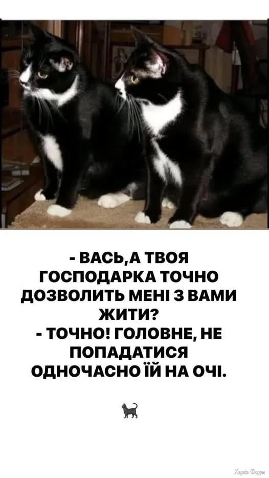  однакові_.webp