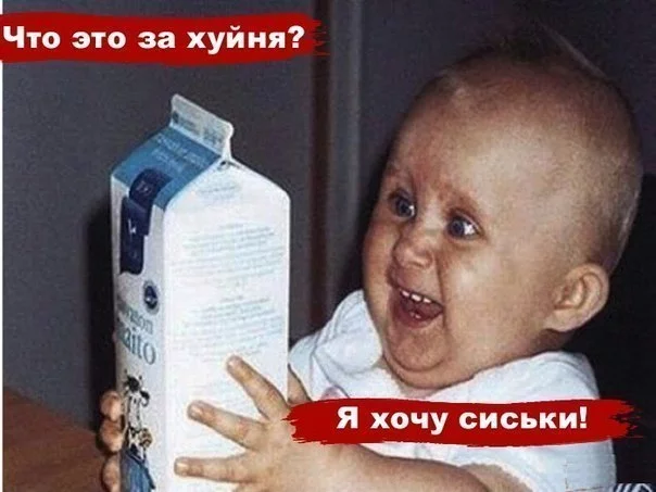 oeeG4bIWYFg.webp