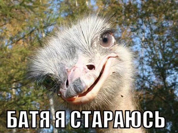 OeiY8iaB5cs.webp