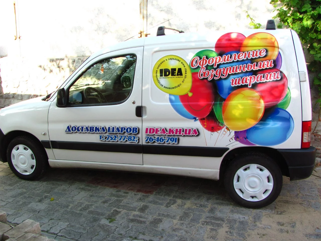 oewsr7aCcS8.webp