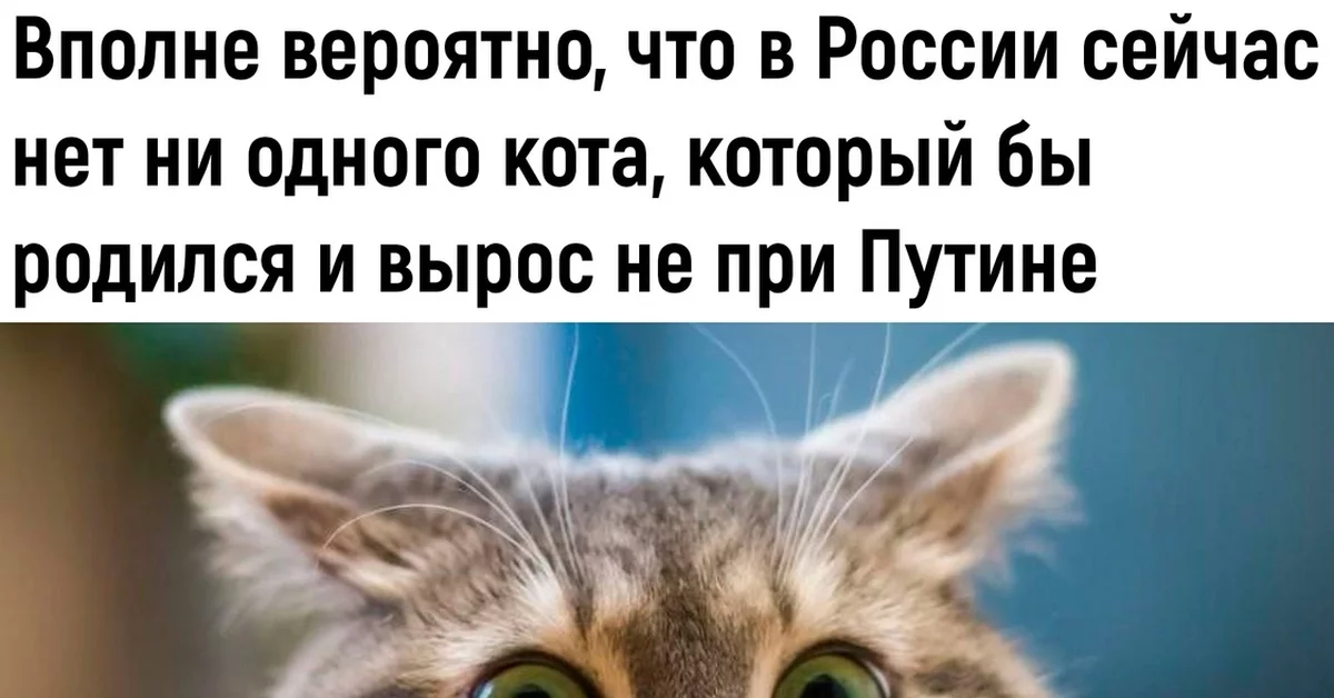 og_og_156659689125742597.webp