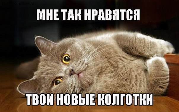 OGVfzwN6nv0.jpg