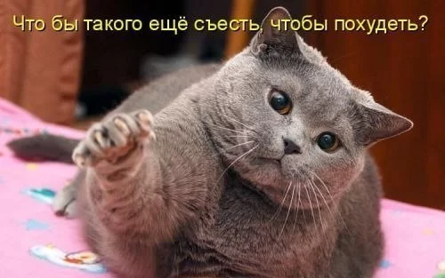 OgyXcs5IfPI.webp