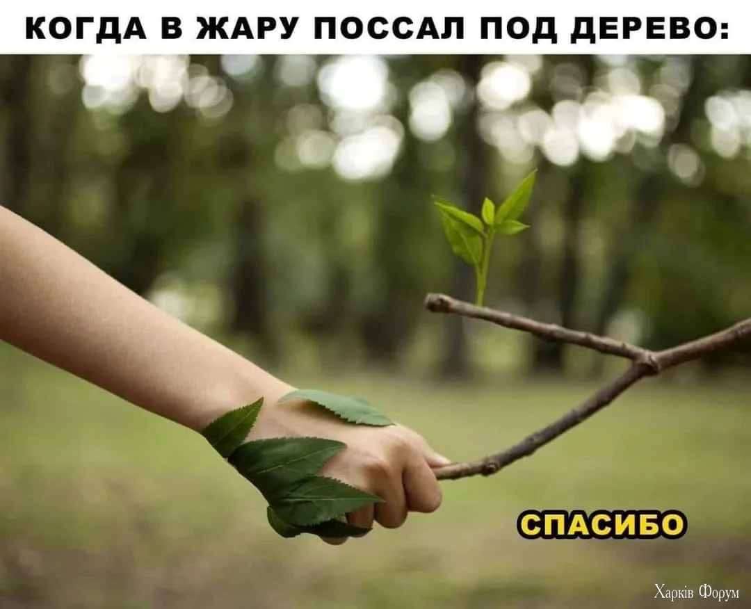 ohc=4oIC2Hd9SzcQ7kNvgGJ6kGA&_nc_ht=scontent-waw2-1.webp