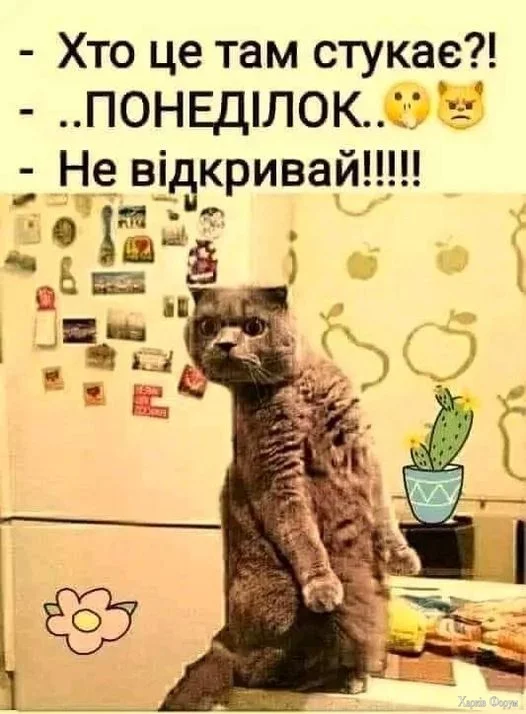 ohc=D0kkLTXnnlIQ7kNvgFN2nFv&_nc_ht=scontent-iev1-1.webp