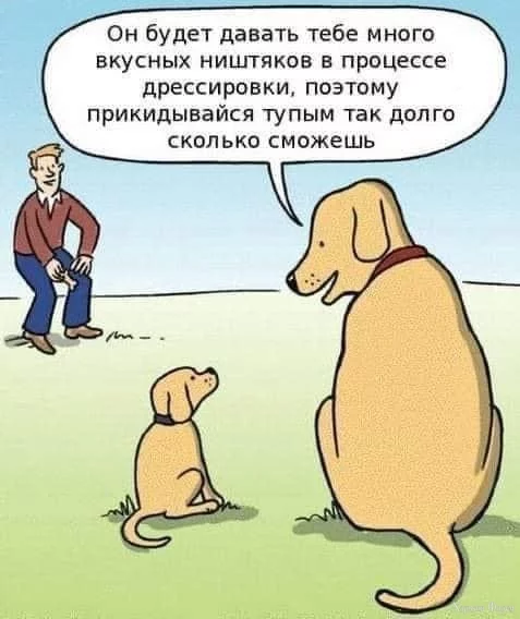 ohc=qlvJmrATrZQQ7kNvgGdNS4u&_nc_ht=scontent-ams2-1.webp