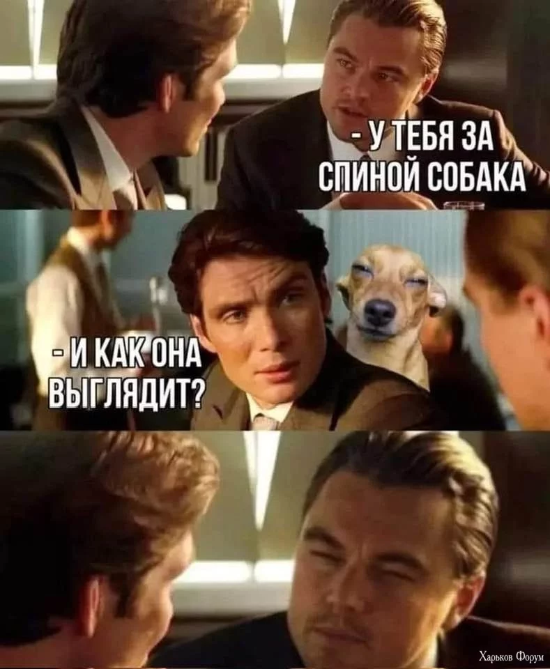 ohc=SRVlgewhEM4Q7kNvgHzPzzR&_nc_ht=scontent-waw2-1.webp