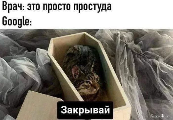 ohc=tgIsT7uVjZwQ7kNvgGaRtas&_nc_ht=scontent-waw2-1.webp