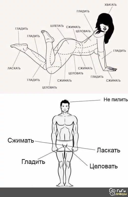 ohc=-x7L5lG6tJsQ7kNvgFvspVF&_nc_ht=scontent-waw2-1.webp