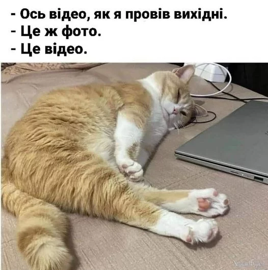 ohc=y5INlKhBtgsQ7kNvgFKVsv5&_nc_ht=scontent-iev1-1.webp
