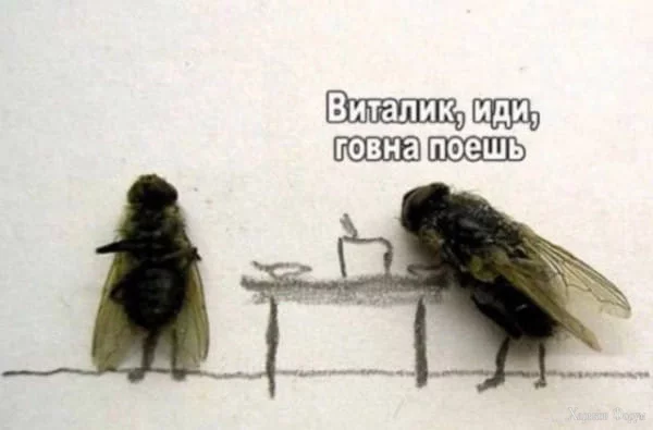 ohc=YnT-9Ec9OvIQ7kNvgEhnhxg&_nc_ht=scontent-waw2-1.webp