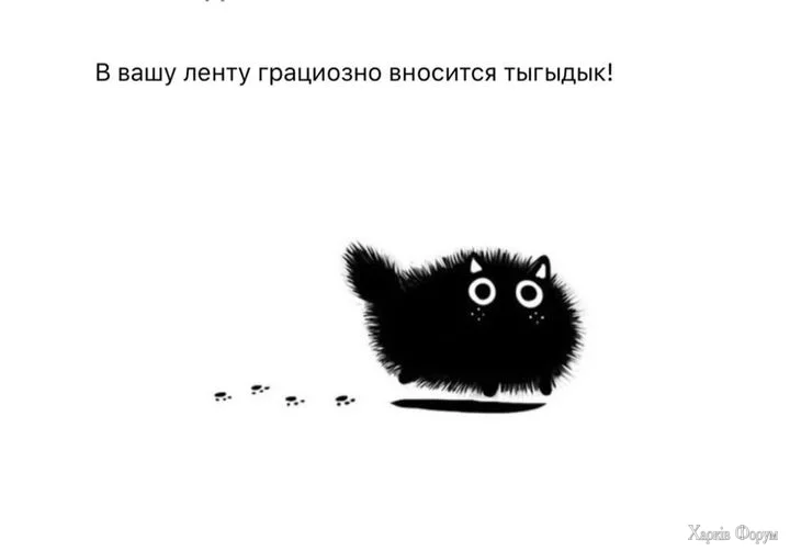ohc=YXBXPPXZXtsQ7kNvgEkrIeq&_nc_ht=scontent-iev1-1.webp