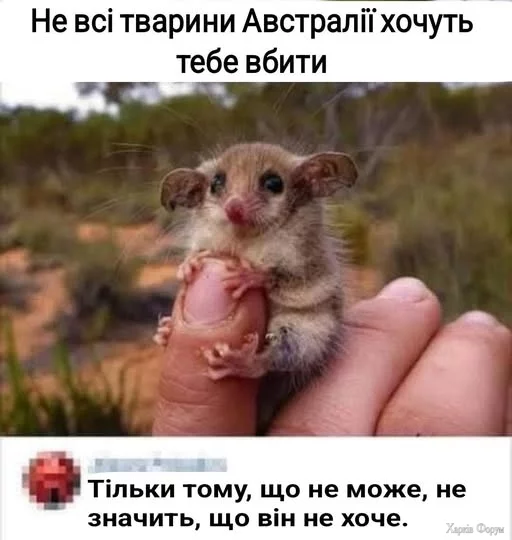 oicf055QmT7f2bEk&_nc_zt=23&_nc_ht=scontent.fdnk1-3.webp