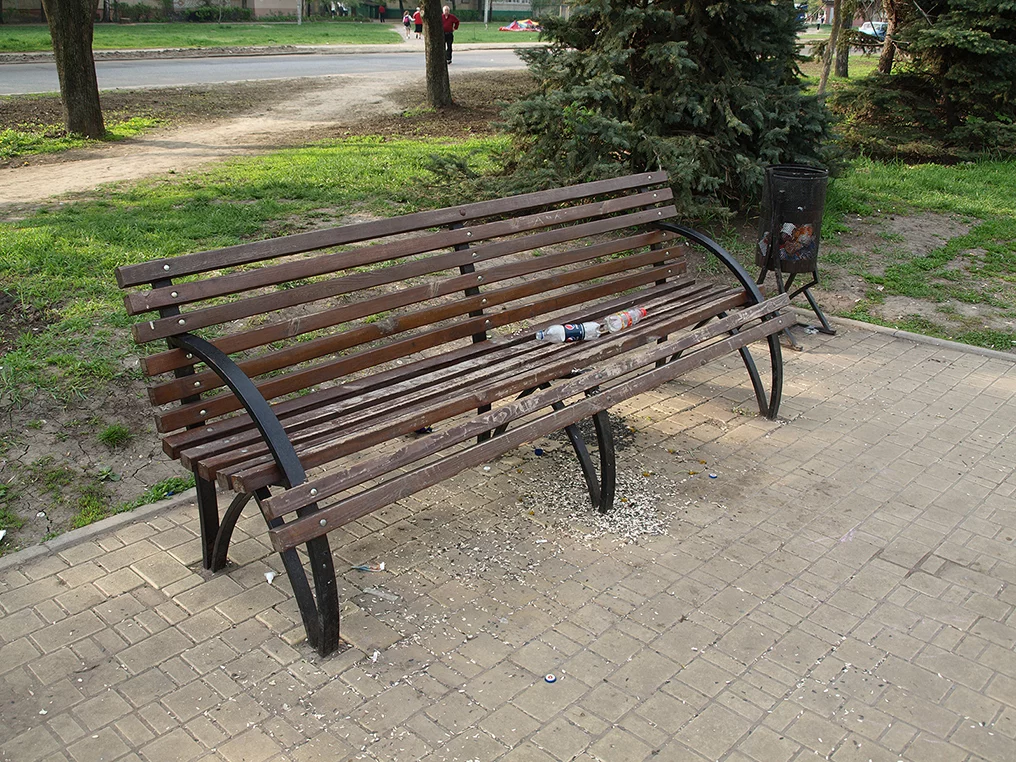 OL055472.webp