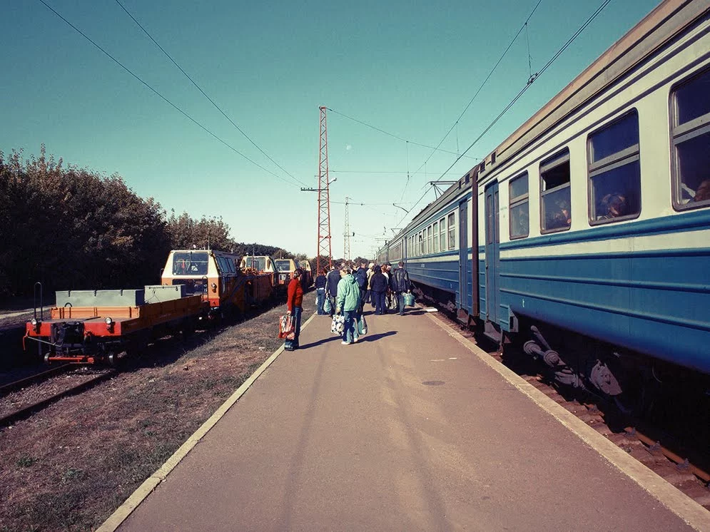 OL176665.webp
