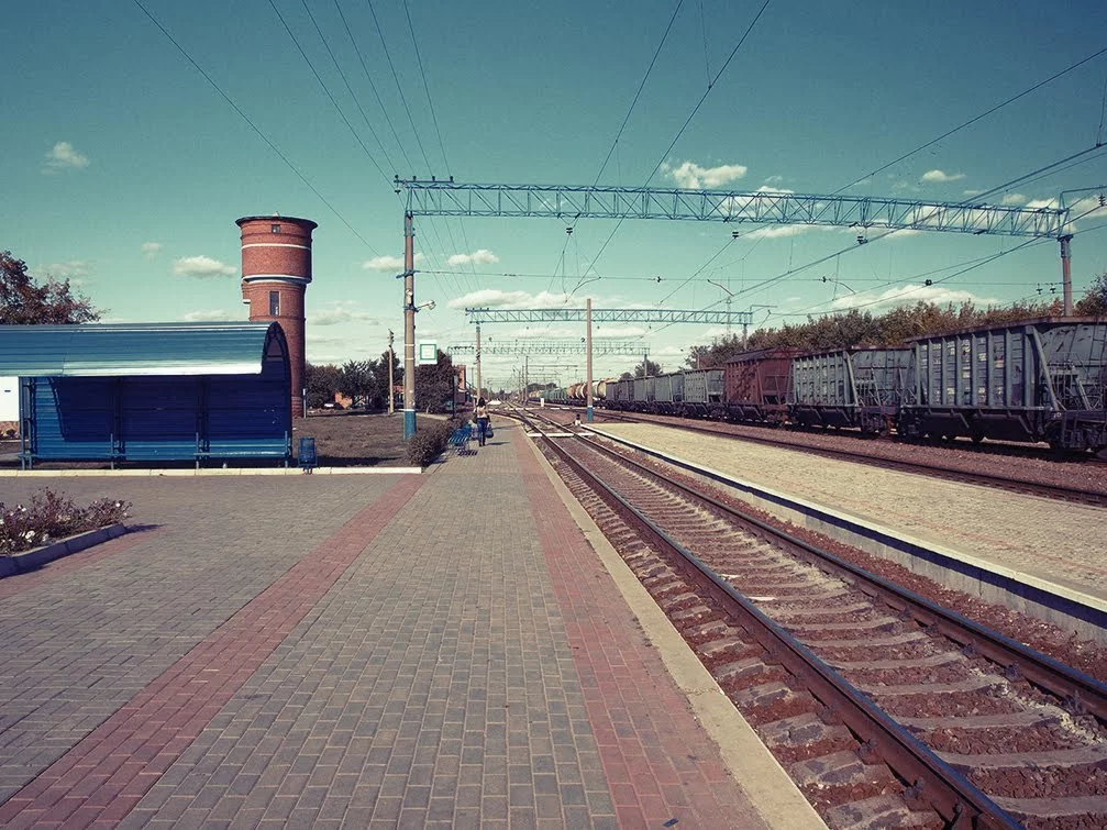 OL176763.webp