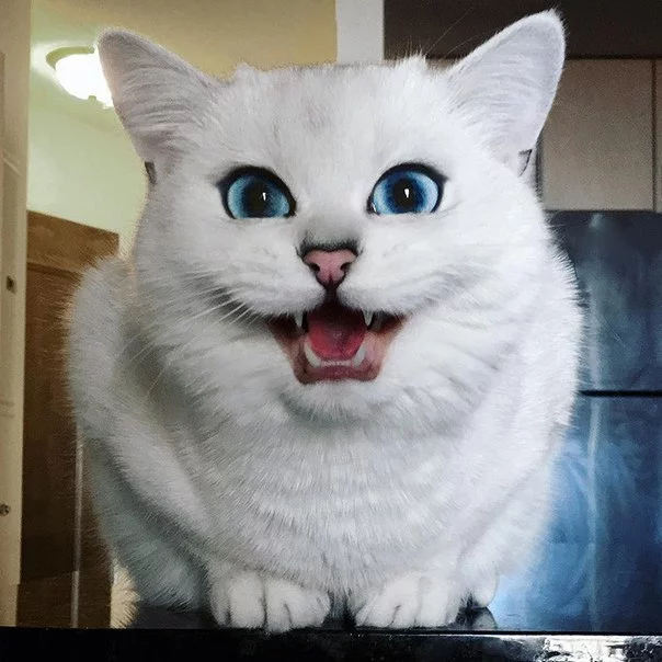 Ol3Or-ZznFQ.webp