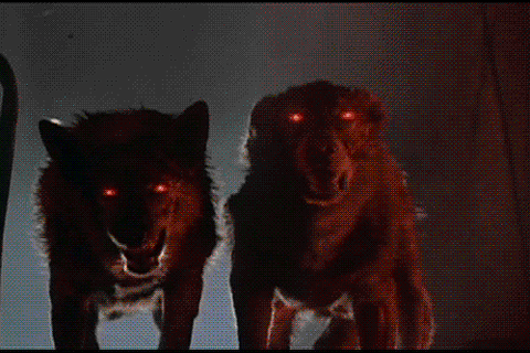 omen%2Bdogs.gif