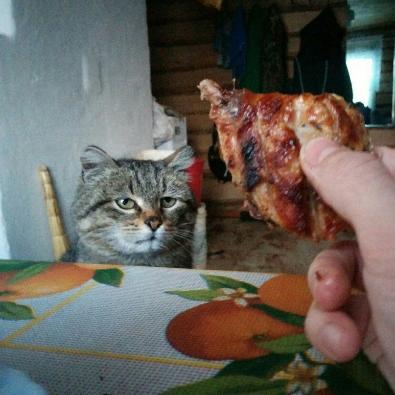 OmNbSYi-doI.jpg