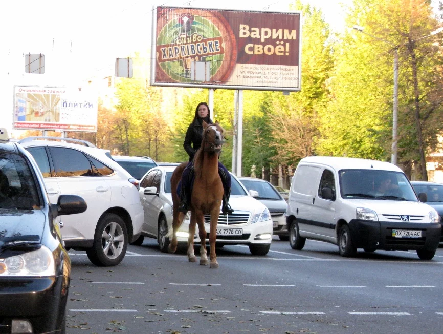 on_street__not_focus_by_a_sha_f-d5h6lm4.webp