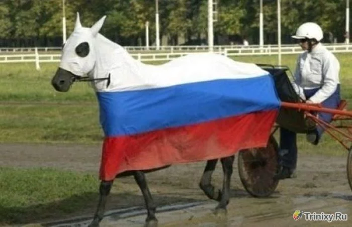 only_russia_16.webp