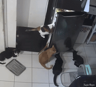 операция холодильник (1).gif