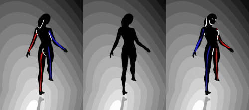 optical-b1-2.gif
