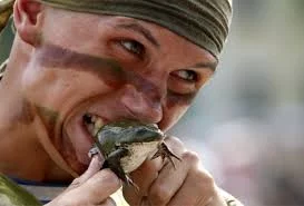 oQwZjfjbGwmnciqq_yKn1MfYYgEg767Kt1Qw8sHnDYX2-Z0lEg.webp