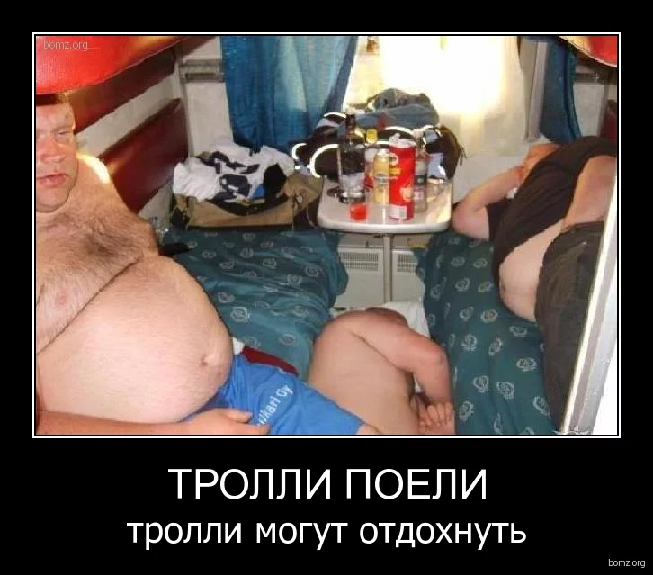 org-demotivator_trolli_poeli_trolli_mogut_otdohnut.webp