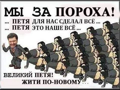 org_kolw474.webp