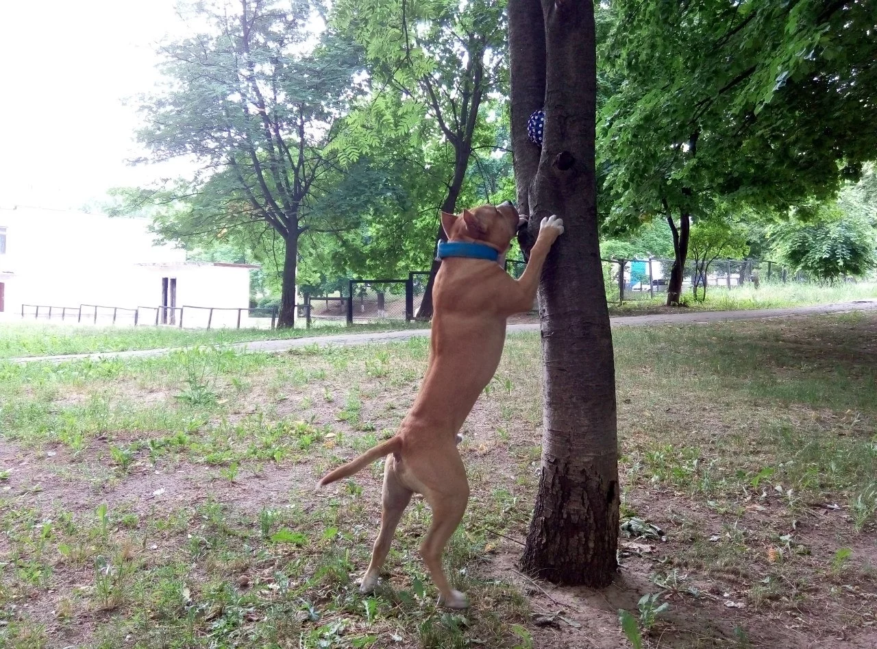 oRhDUjC_XRY.webp