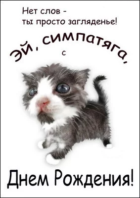 orig_443d0d2f1fc64668cb269eb6c3eaf85a.webp