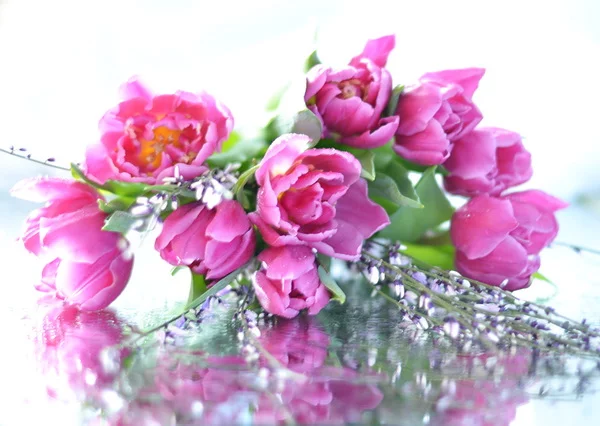 orig_a23dce392c39965cdc8bf53985cf5ff9.webp