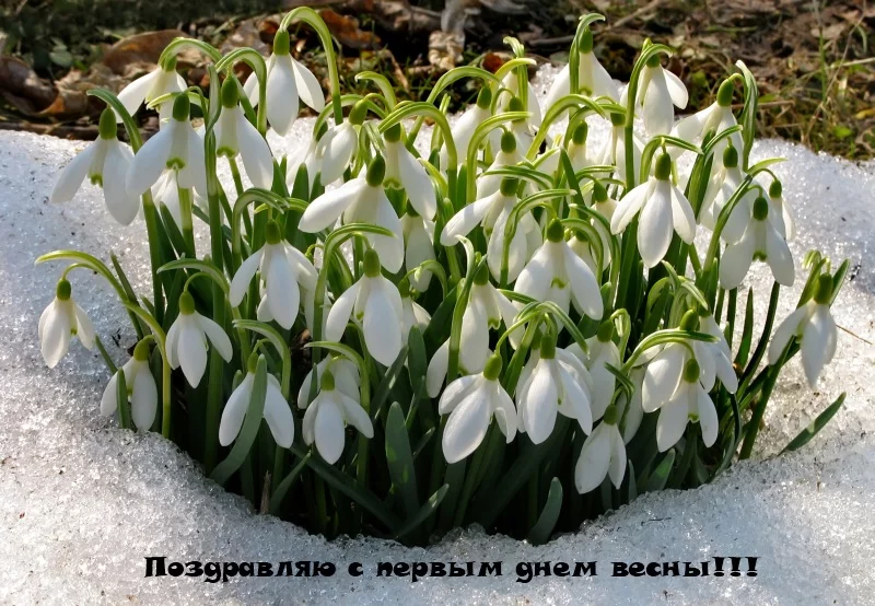orig_ec8661440c6114662f2e969f0db527b3.webp