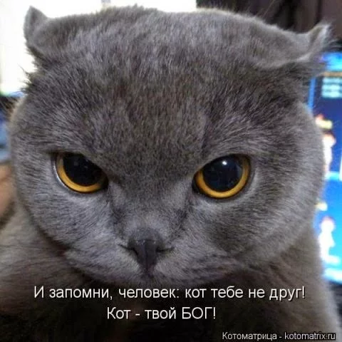 origibtnal.webp