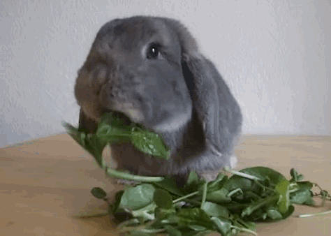 original.gif